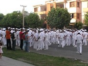 Naval Cadets